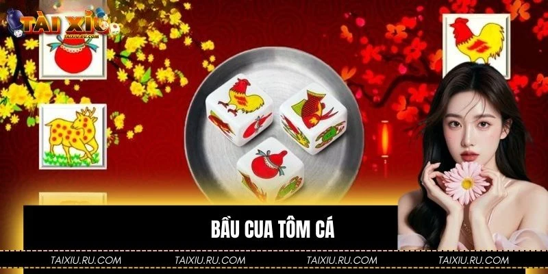 Bầu Cua Tôm Cá Là Gì? Hướng Dẫn Cách Chơi Cho Người Mới