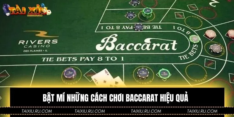Hội viên nên áp dụng cách chơi Baccarat từ các cao thủ