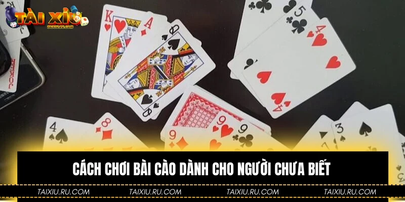 Cách chơi bài cào dành cho người chưa biết