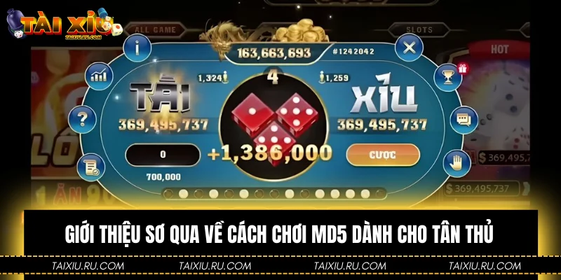 Giới thiệu sơ qua về cách chơi MD5 dành cho tân thủ