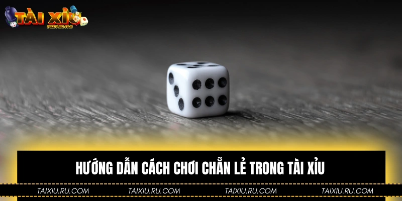 Hướng dẫn cách chơi chẵn lẻ trong Tài Xỉu chi tiết