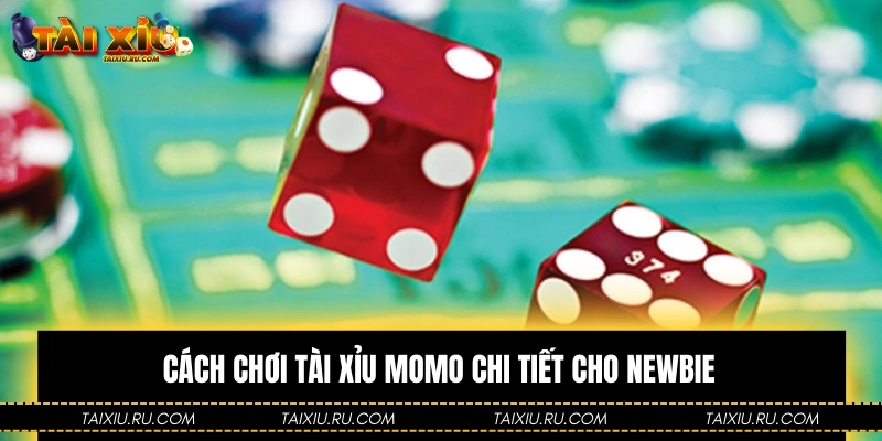 Cách chơi Tài Xỉu Momo chi tiết cho newbie